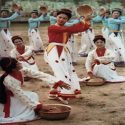 돈돌라리