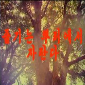 줄기는 뿌리에서 자란다