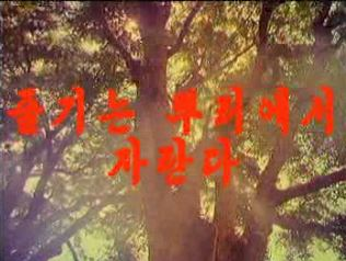 줄기는 뿌리에서 자란다