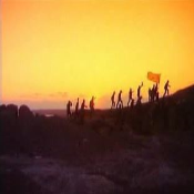 줄기는 뿌리에서 자란다