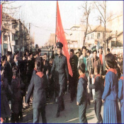 줄기는 뿌리에서 자란다