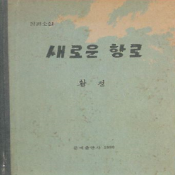 새로운 항로