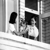 검은장미3