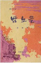 밤노을