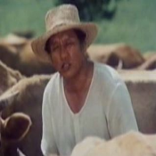 자신에게 물어보라3